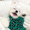 Print Puppy/Cat Warm Sweater 3