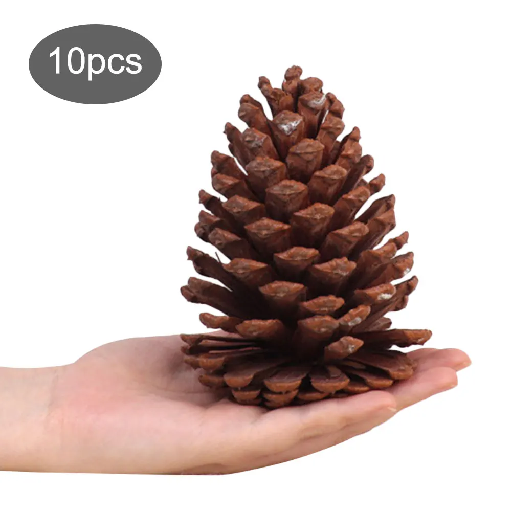10 шт. большие натуральные сосновые конусы для украшения дома|Наконечники елки| |