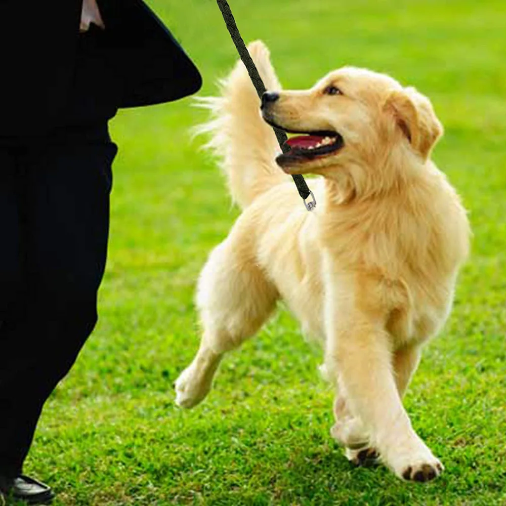 Нейлоновый Поводок для собак длиной 5 футов веревка с металлической застежкой