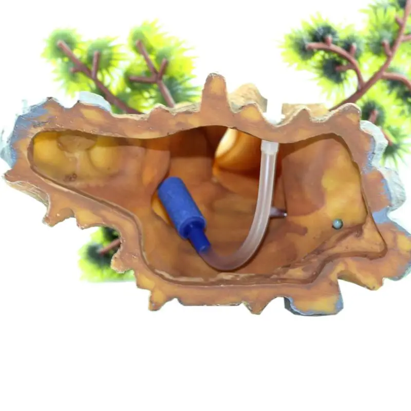 

Simulated Tree Roots Arch Aquarium Fish Tank Landscaping Decoration Vintage Premium Quality