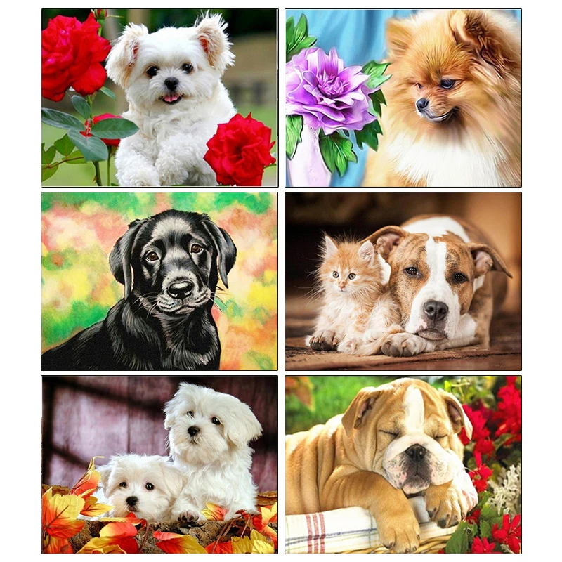 

AMPHIBOLE Diamond Painting Dog Full Square Drill 5D DIY Diamond Embroidery Animals Mosaic Sale Rhinestone Art Home Decor