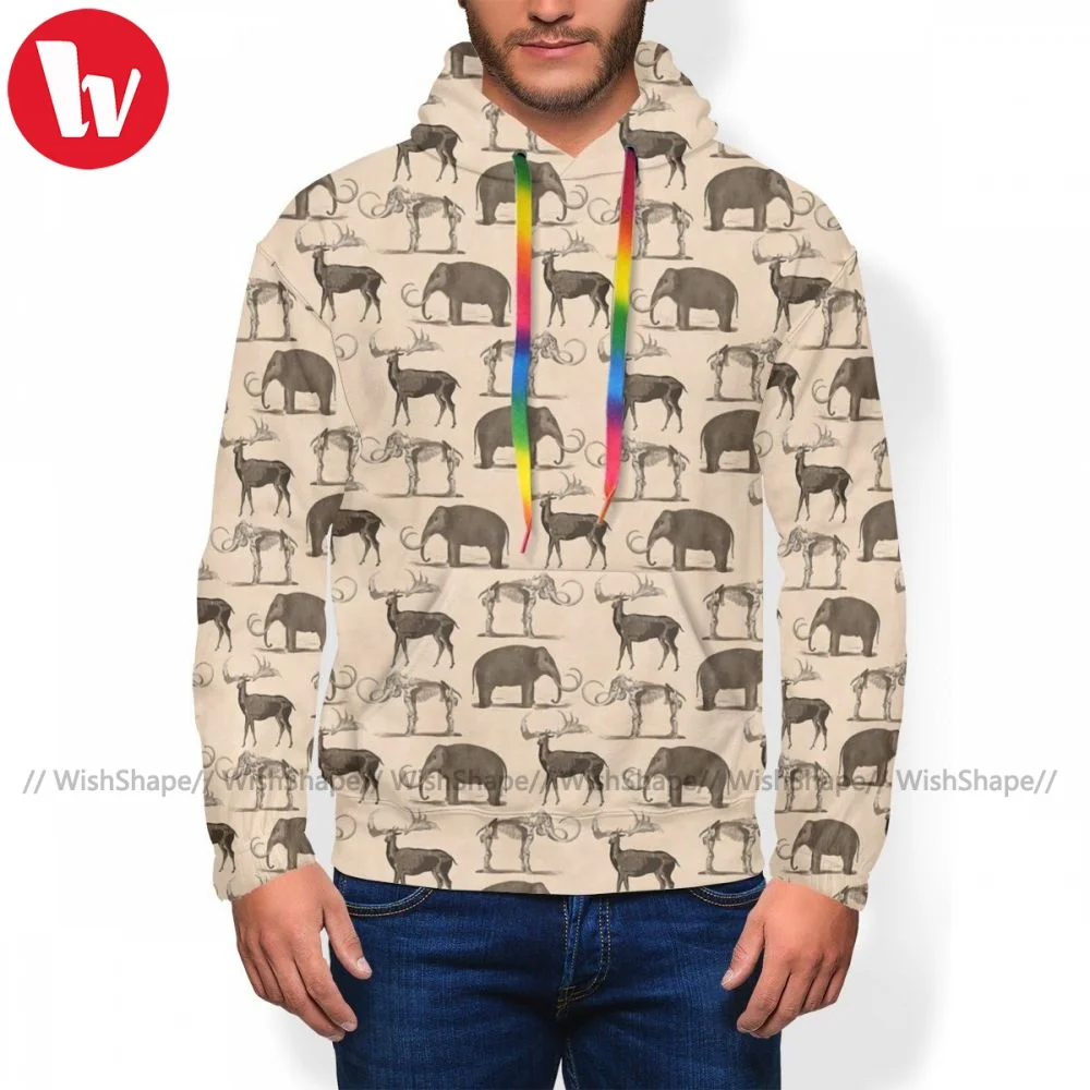 

Fashion Dinosaur Hoodie Polyester Winter Hoodies Long Streetwear Pullover Hoodie Oversized Mens