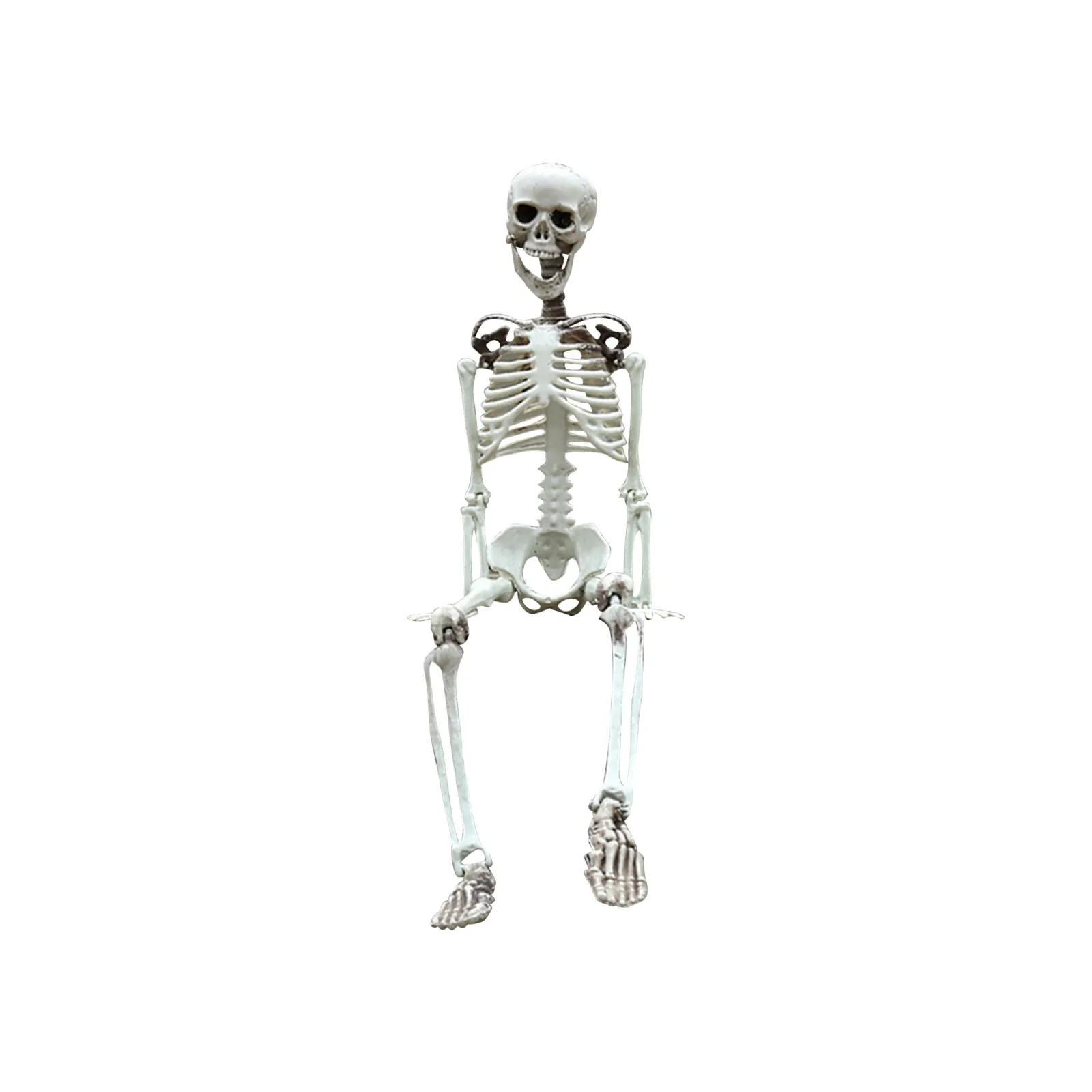 

COMPUDA Halloween Decoration Full Body Skeleton Plastic Bones with Posable Joints