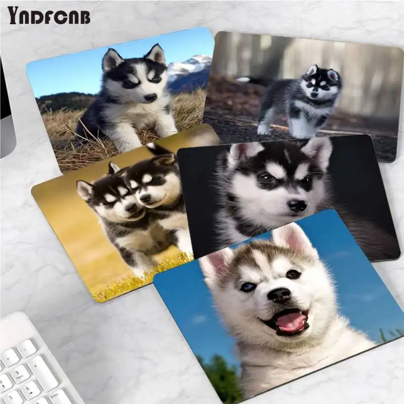 

YNDFCNB New Arrivals Husky Dog small Mouse pad PC Computer mat Smooth Writing Pad Desktops Mate gaming mouse pad