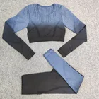 Новинка 2 шт. бесшовный Женский спортивный комплект Ombre укороченный топ для фитнеса одежда для тренировок в тренажерном зале леггинсы с длинным рукавом для бега с высокой талией комплект для йоги