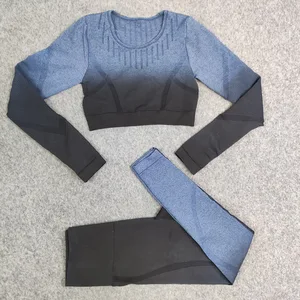 Новинка 2 шт. бесшовный Женский спортивный комплект Ombre укороченный топ для фитнеса одежда для тренировок в тренажерном зале леггинсы с длинным рукавом для бега с высокой талией комплект для йоги