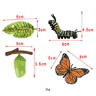 Пластиковая сцена для роста насекомых, реалистичная модель бабочки для детей, набор для обучения, сувениры для темативечерние насекомых