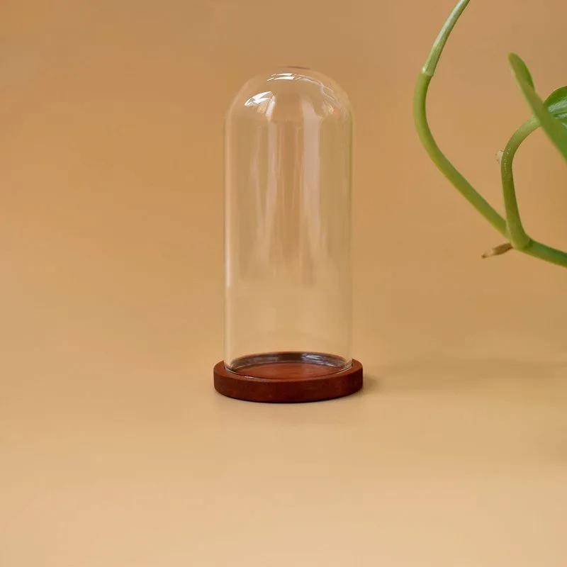 Стеклянная бутылка для террариума Бамбуковая база купольная Пылезащитная