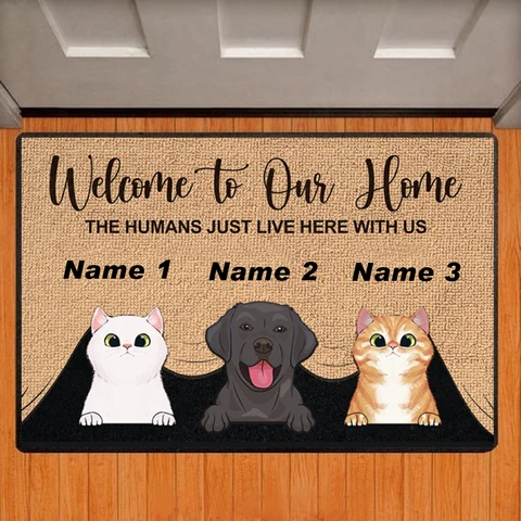 Добро пожаловать в наш дом под заказ, напольный коврик с именем собаки, кошки, персонализированные напольные коврики, ковер всех цветов, аксессуары для домашнего декора с любым логотипом