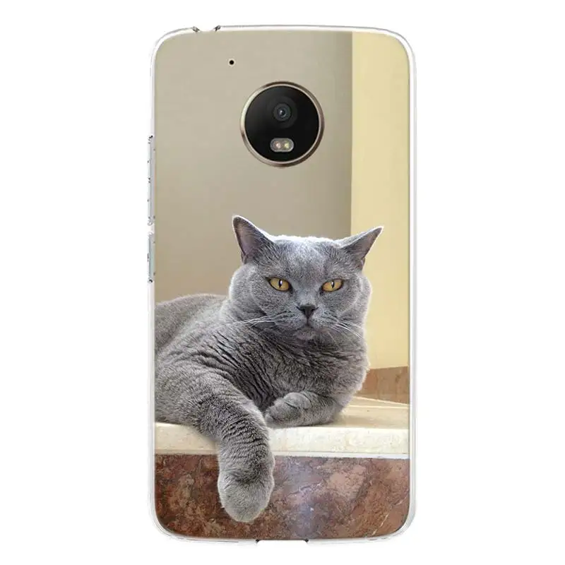 Чехол для телефона с британским котом короткого замыкания Motorola Moto G9 G8 G7 G6 G5S E6 E5 Plus