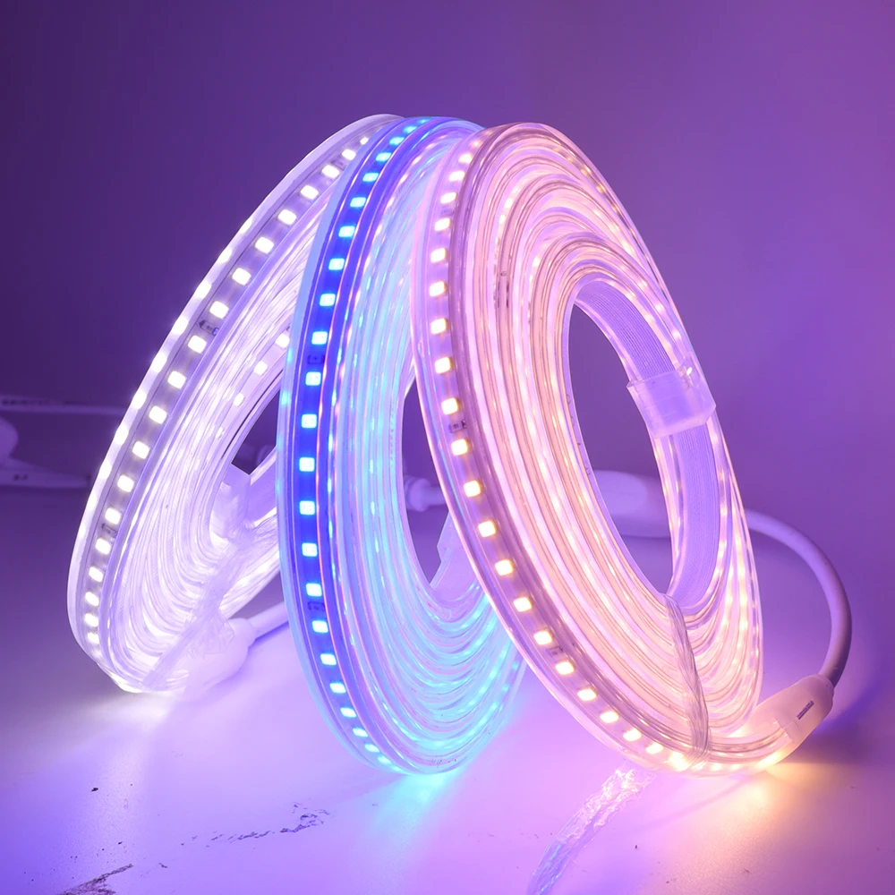

220V 110V 2835 LED Strip with Dimmer 120Leds/m fita de led Ribbon Diode Tape Waterproof White/Warm White/Blue Flexible Led Light