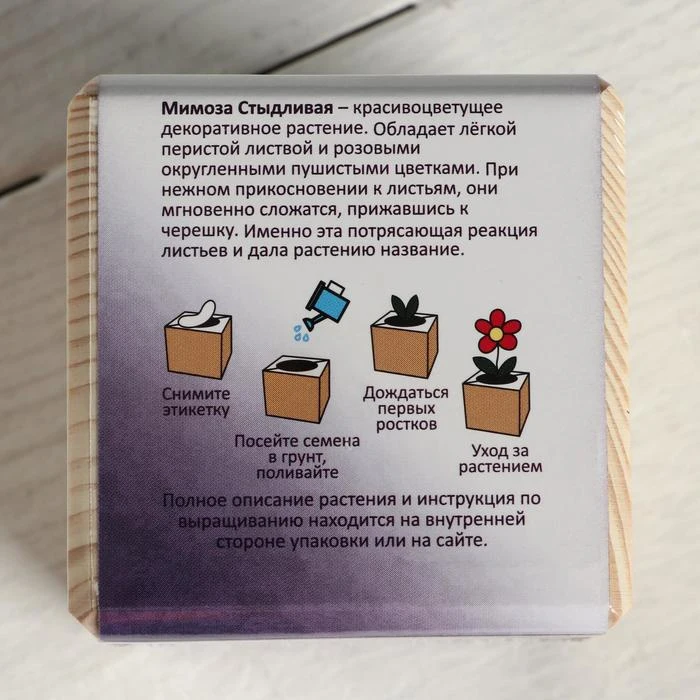 Набор для выращивания P&ampP &quotМимоза стыдливая&quot 5149936