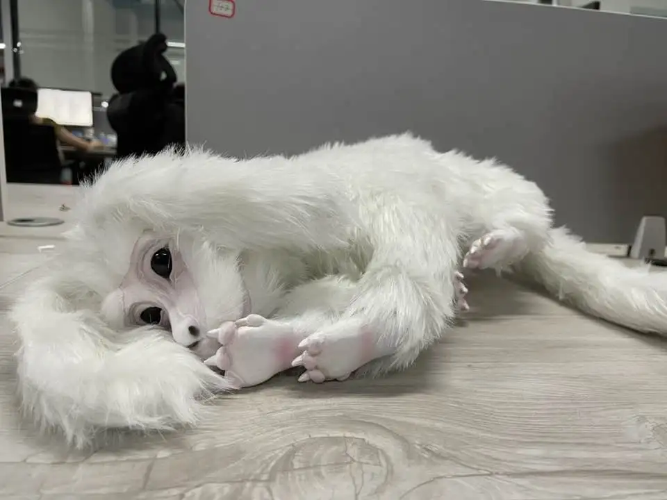 

Falkor