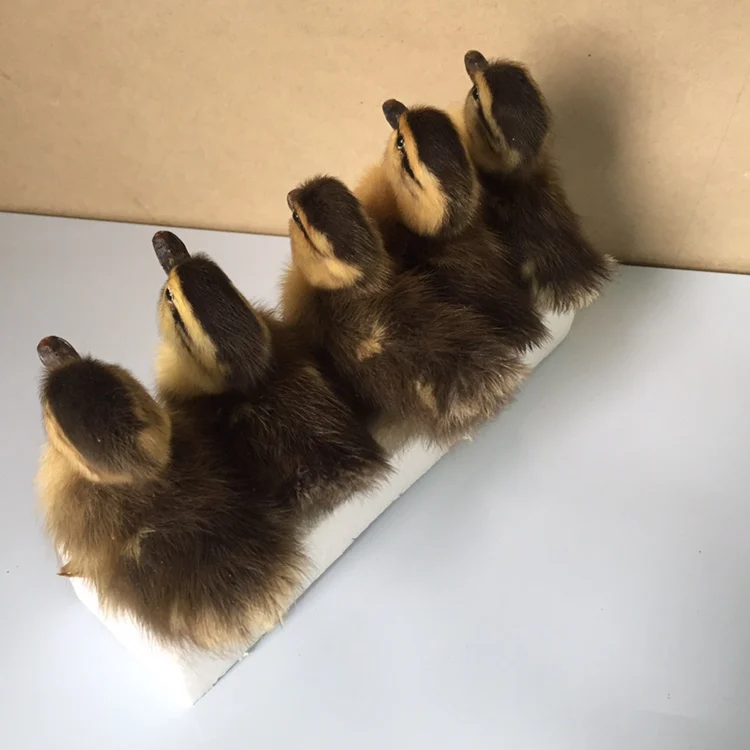 5 шт. желтая/Черная/коричневая утка TAXIDERMY | Тематическая одежда и униформа