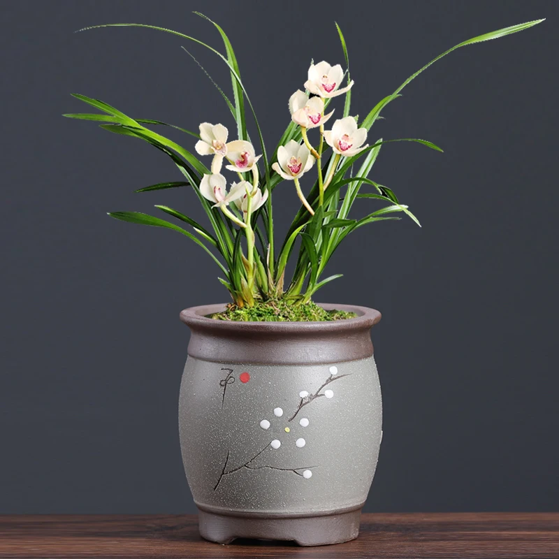 Специальные цветочные горшки керамическая посуда простой Орхидея хлорофитум