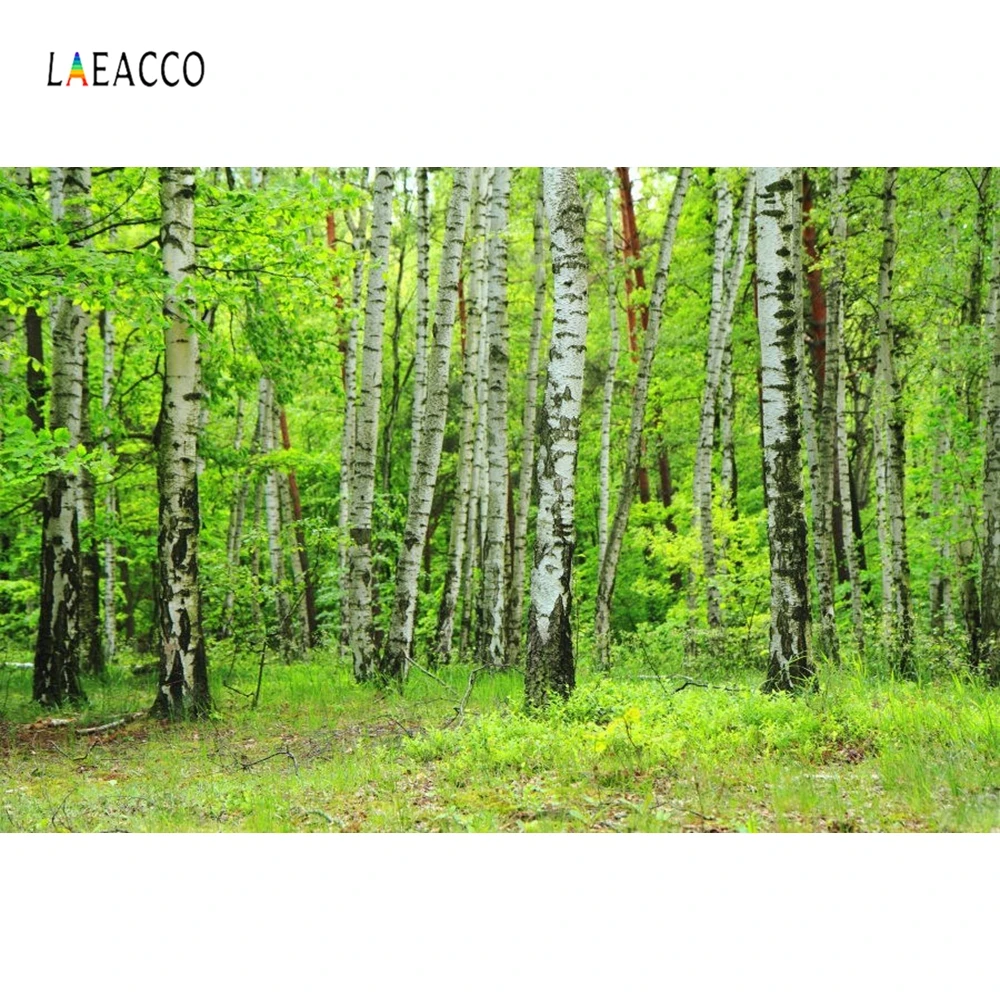 Laeacco Весна зеленый лес деревья живописные девушки фотографии фонов фото фон пользовательские фоны реквизит для фотостудии