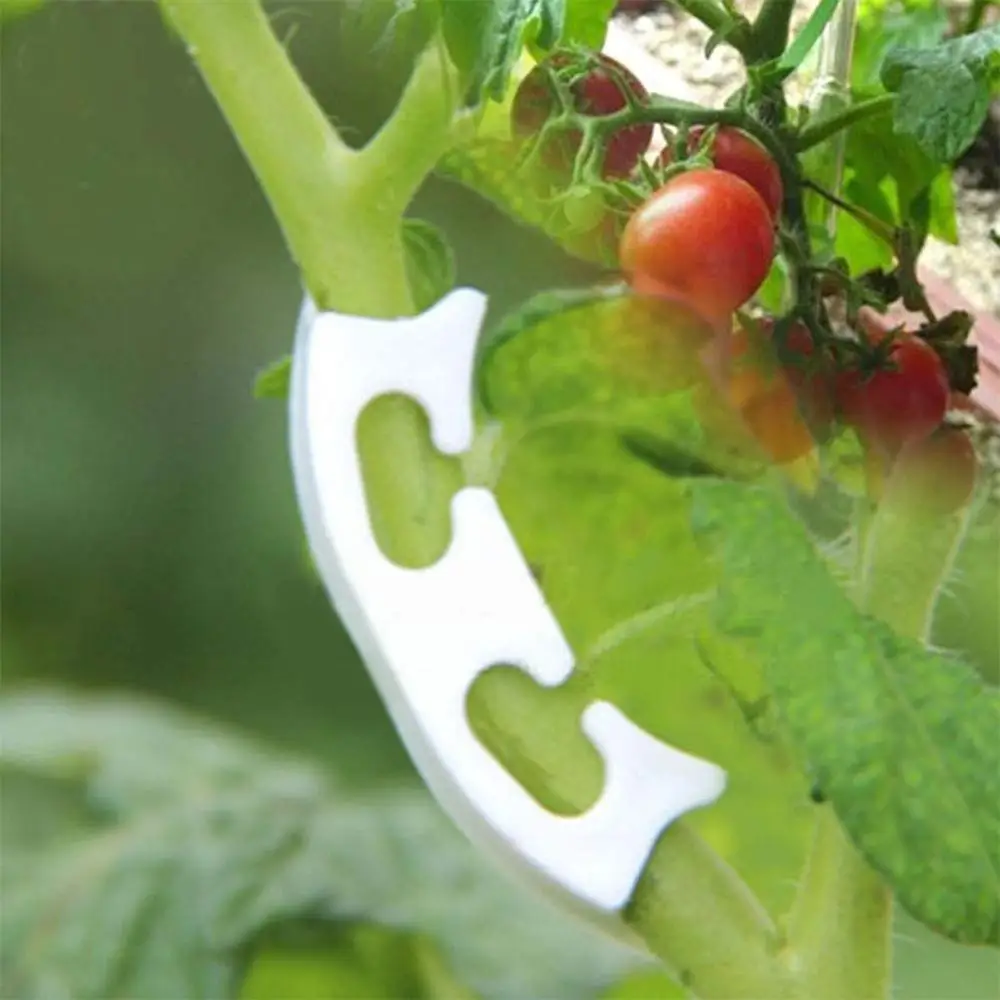 

100 Pcs Plant Bends Tomato Supports Stem Clips Plant Clips for Prevent Plant Stem Bending Snapping 30P