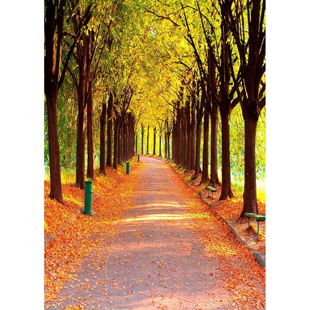 Фон для фотосъемки с изображением желтых деревьев павших листьев дороги