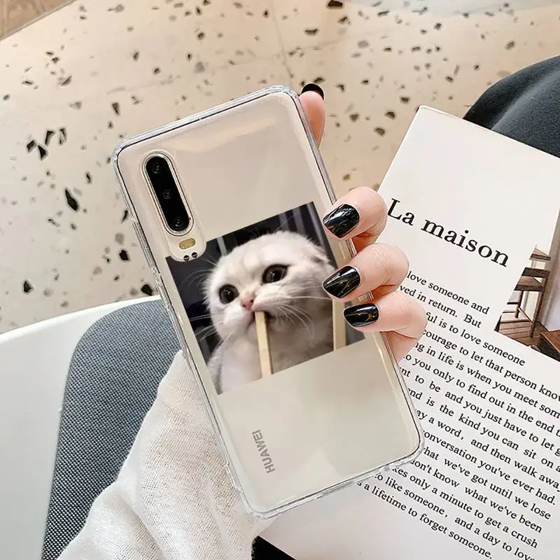 

Cute Cat Phone Cases Transparent for Samsung A71 S9 10 20 HUAWEI p30 40 honor 10i 8x xiaomi note 8 Pro 10t 11