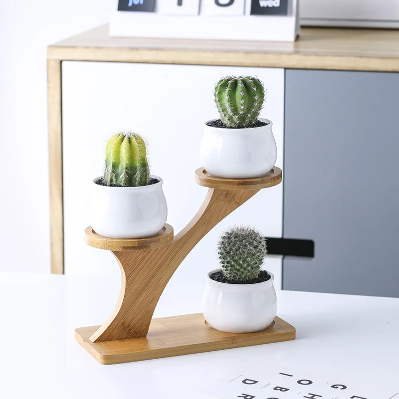 Ceramic Garden Pots Modern Decorative Nursery Succulent Plant Pot 3 Bonsai Planters with 3-Tier Bamboo Shelf Free Ship | Дом и сад
