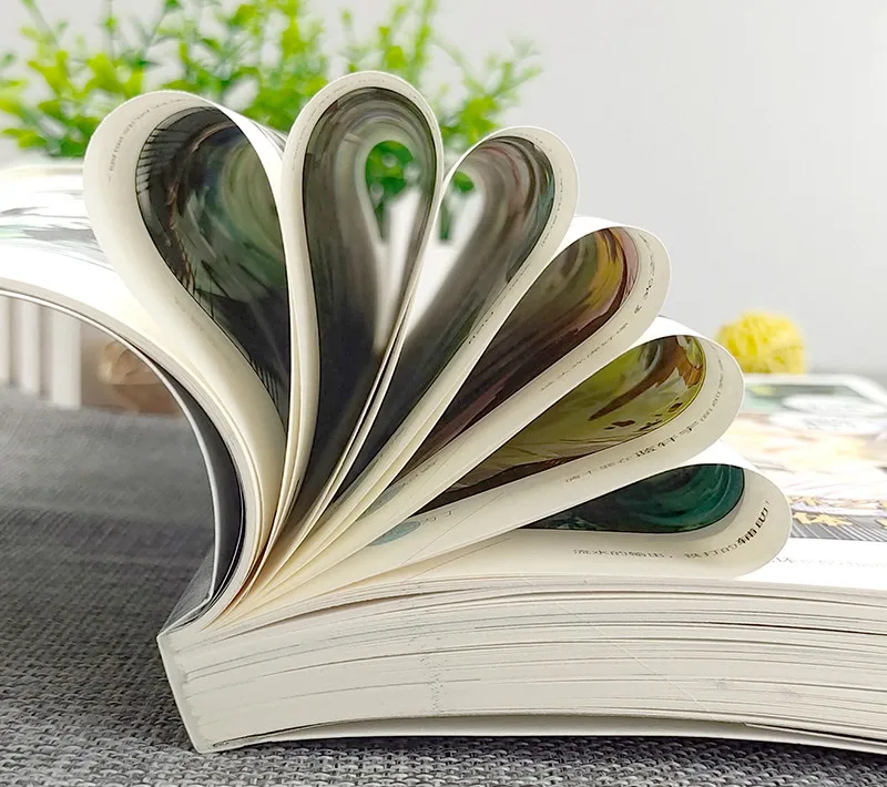 

Douro Mainland 4 Ultimate Douro Comic Book 8 Fourth Genuine New Season Animation peerless Tangmen 2 Dragon King Legend 3