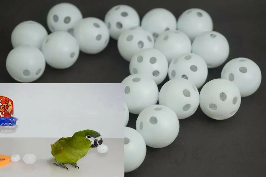 10 × забавная игра игрушки для домашних животных волнистый попучай баскетбольные