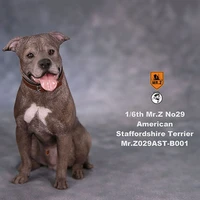mr z pet dog model 16 scale no 29 american staffordshire terrier dog parts animal model toy for 12 action figure doll show