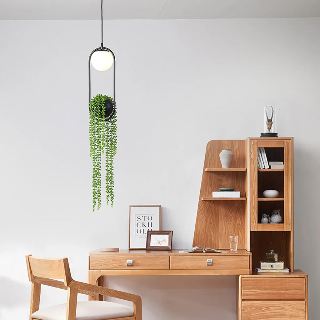 Северное растение люстра цветочный горшок красивый сад под открытым небом