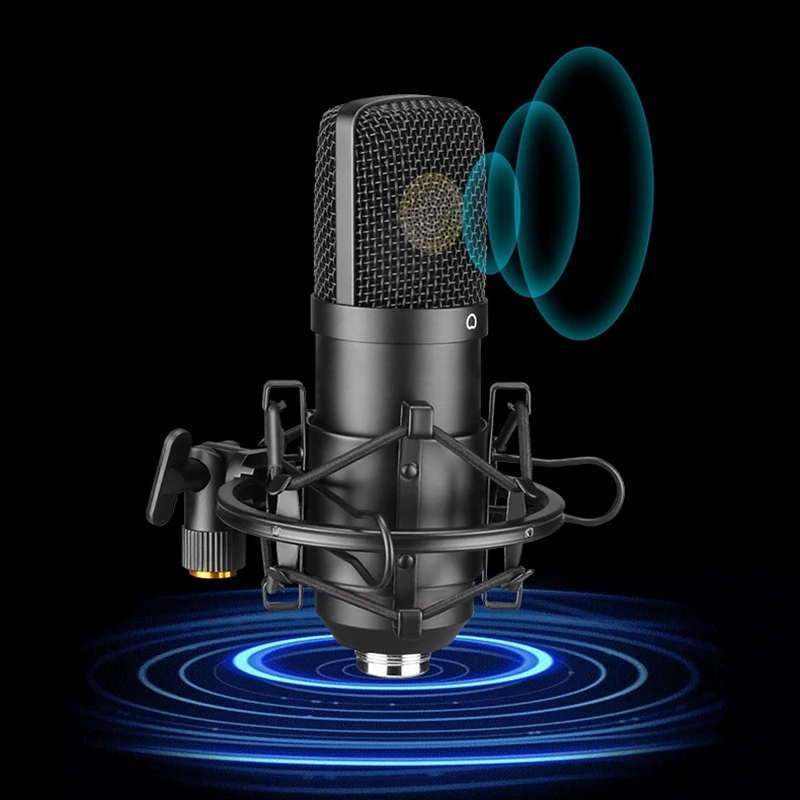 

USB Microphone Desktop Stand Set, 192KHZ/24BIT High Sampling Rate Blowout Prevention Net Desktop Live K Song Microphone