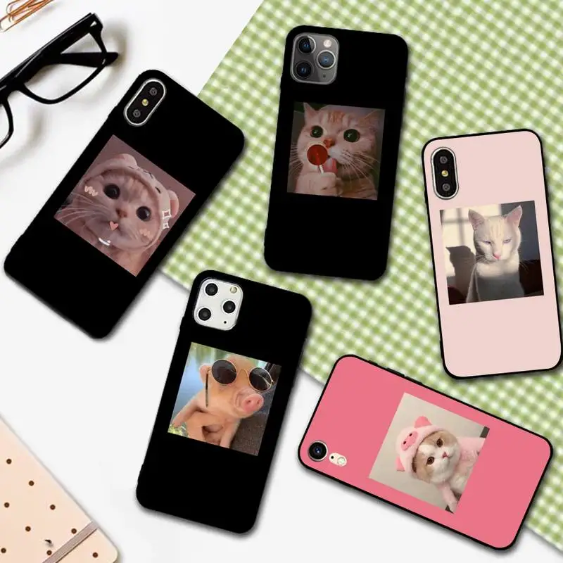 

YNDFCNB Cartoon Cat Pig Phone Case for iphone 13 11 12 pro XS MAX 8 7 6 6S Plus X 5S SE 2020 XR cover