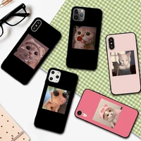 yndfcnb cartoon cat pig phone case for iphone 13 11 12 pro xs max 8 7 6 6s plus x 5s se 2020 xr cover