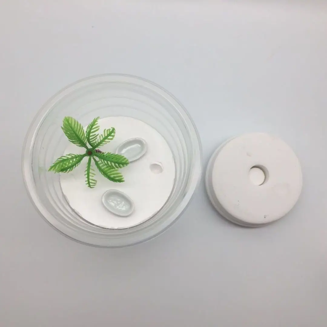 Муравьиное гипсовое гнездо замок муравьиная мастерская домашние подарки товары