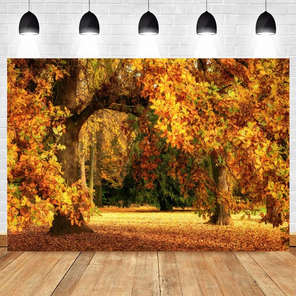 

Autumn Forest Backdrop Fallen Leaves Scenery Landscape Park Garden Vinyl Photography Background Photographic Photophone Poster