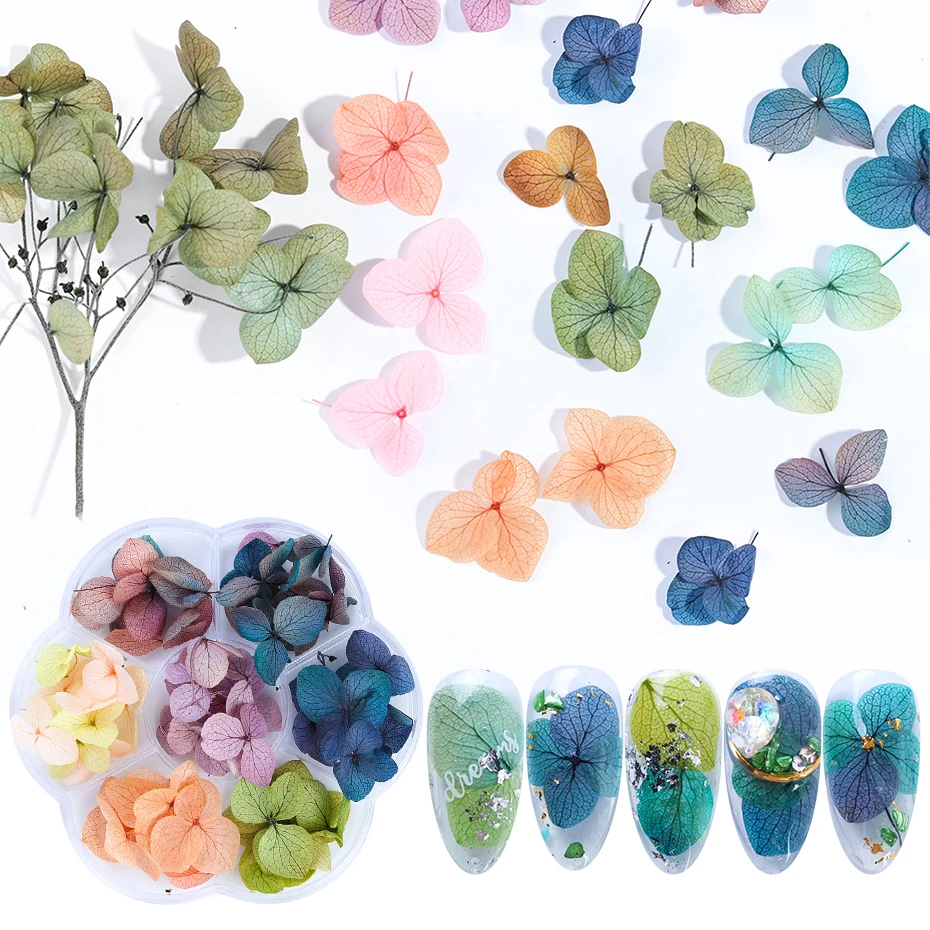 1 колесо сушеные цветы украшения для ногтей 3D смешанные Натуральные наклейки