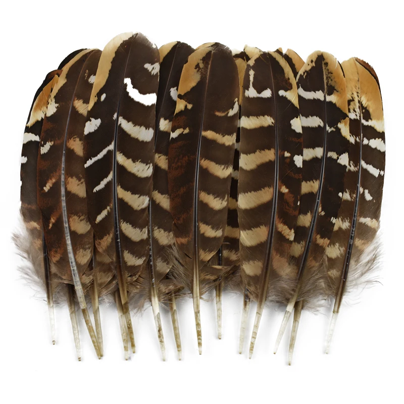 

100Pcs/Lot Wholesale Rare Natural Eagle Pheasant Feathers for Crafts Chicken Bird Feather Crafts Jewelry Artificial Decorations