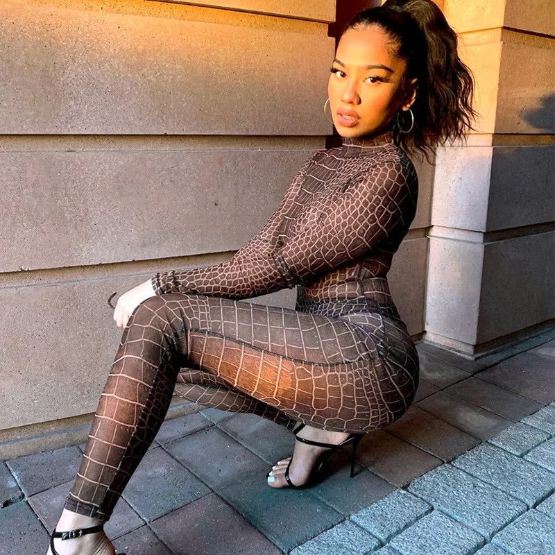

HIRIGIN 2020 Sexy Women's Set Mesh Bodysuit One-piece Long Sleeve Round Neck Long Pants Leopard Pattern Print Spring Autumn