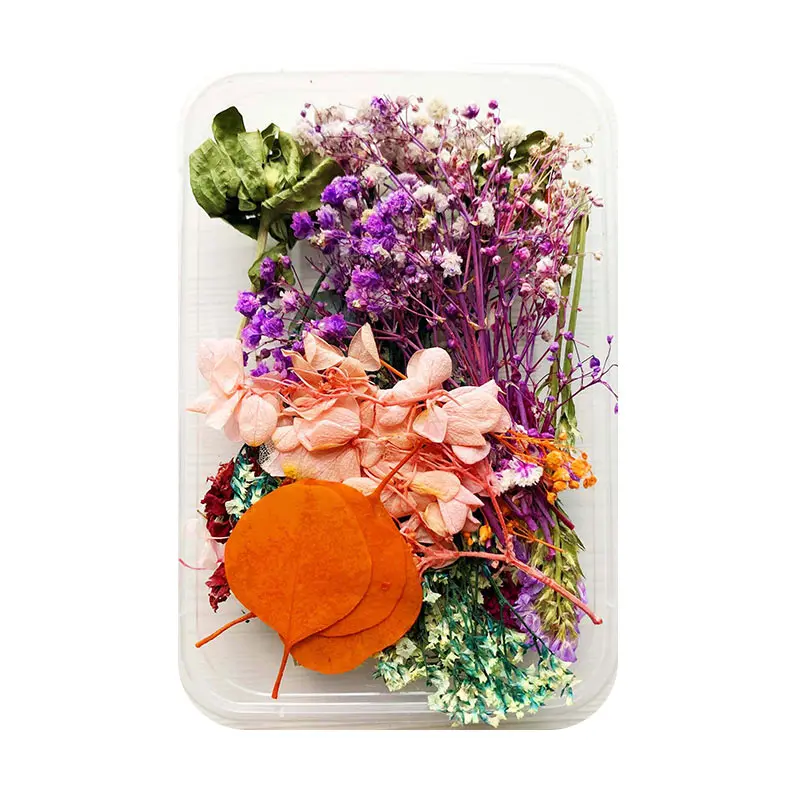 Разные красивые настоящие сухие цветы из натуральных тканей с цветочным узором