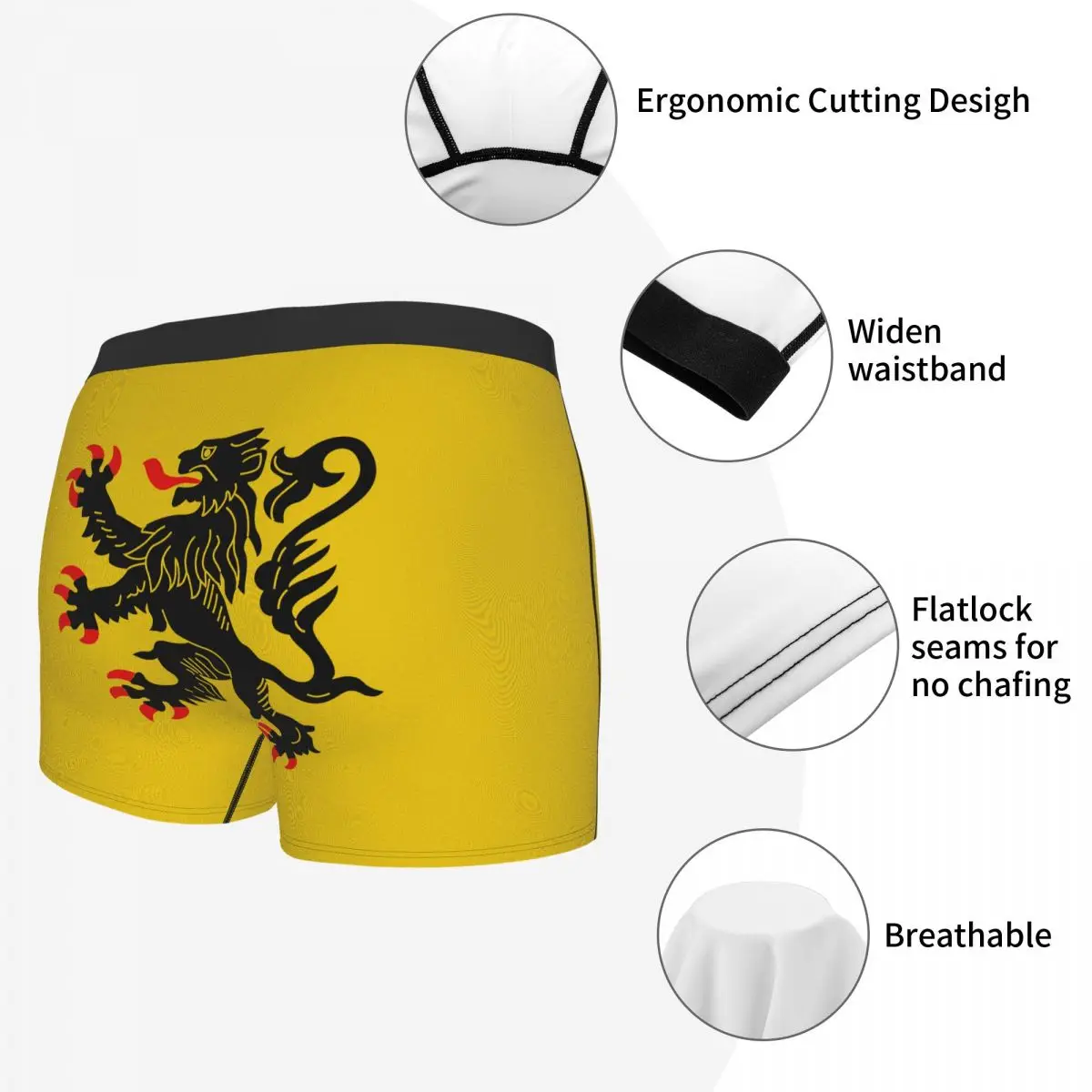 Generic Flag Of Nord-Pas-de-Calais Men's Boxer Briefs Flags of the regions of France Casual Men's boxer leggings