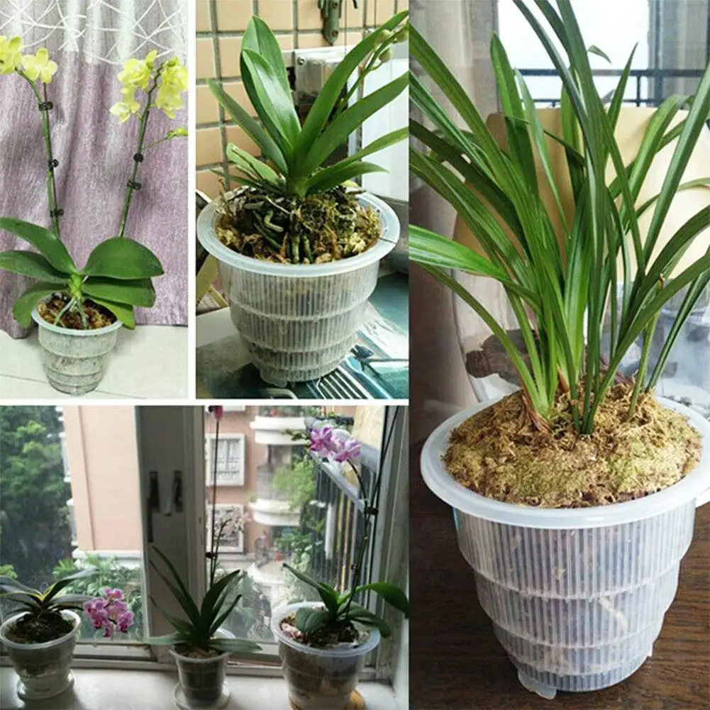 

10/12cm Orchid Clear Flower Pot Plastic Slotted Breathable Garden Pots Pot Planter Planter Flower Orchid Nursery Tools