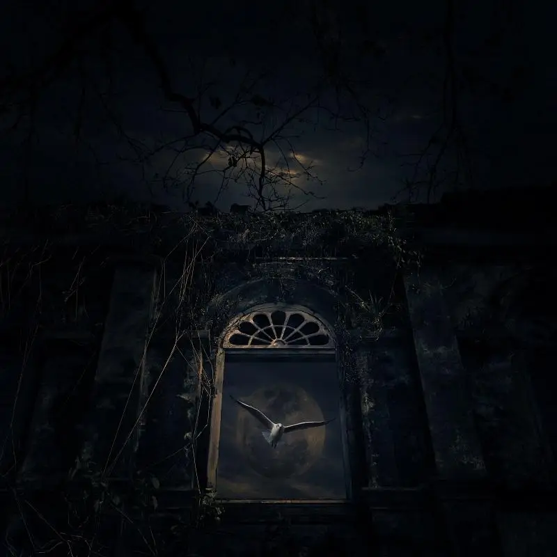 Реквизит для фотостудии Nitree Готический фон фотосъемки Ночная разбивка Стена