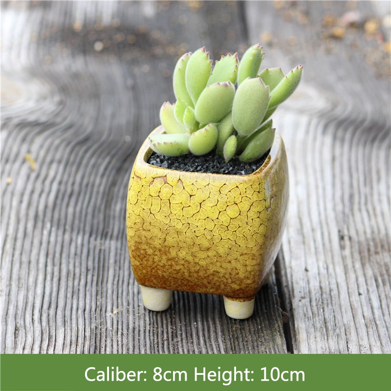 Новый квадратный суккулентный горшок для растений печь становится керамической