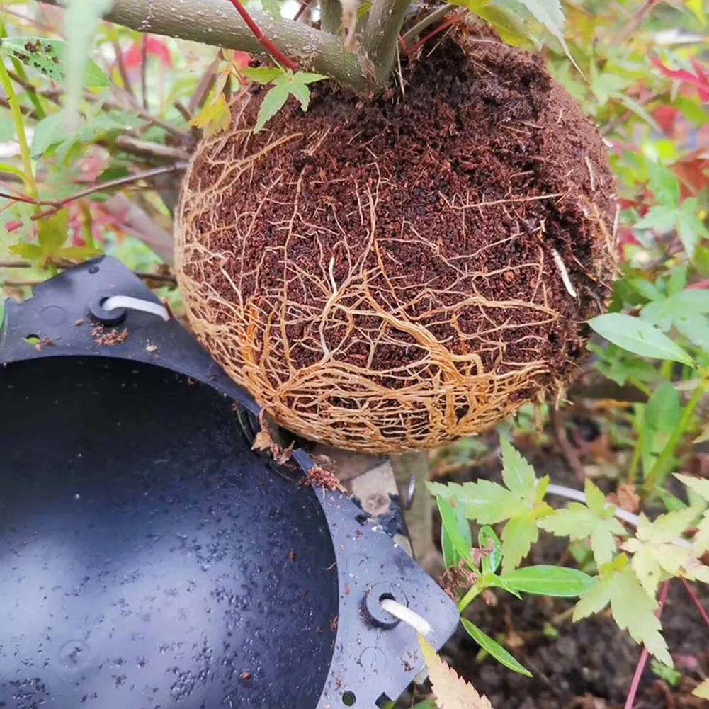 

5pcs Plant Rooting Ball Grafting Rooting Growing Box Breeding Case for Garden Plant high-pressure propagation box Sapling