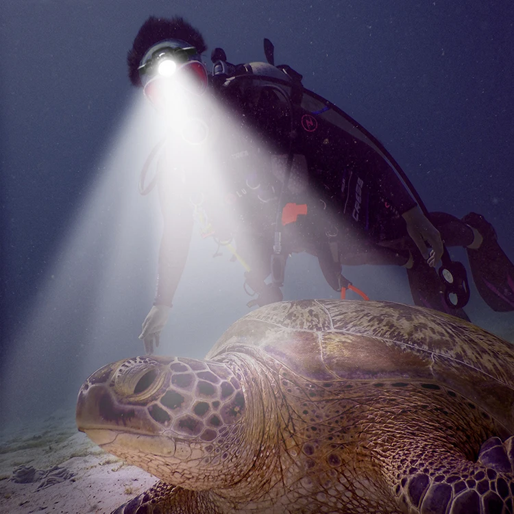 Дайвинг налобный фонарь 100 метров подводный XM L2 светодиодный Водонепроницаемый