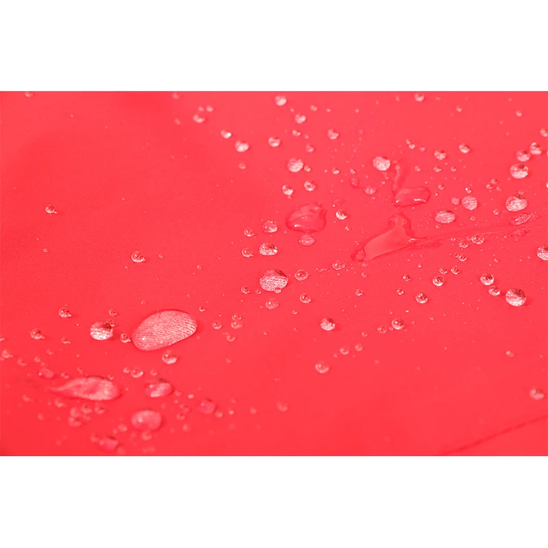 ROYALWAY лыжные штаны для мужчин Outdoot Спорт Снег Сноуборд классические