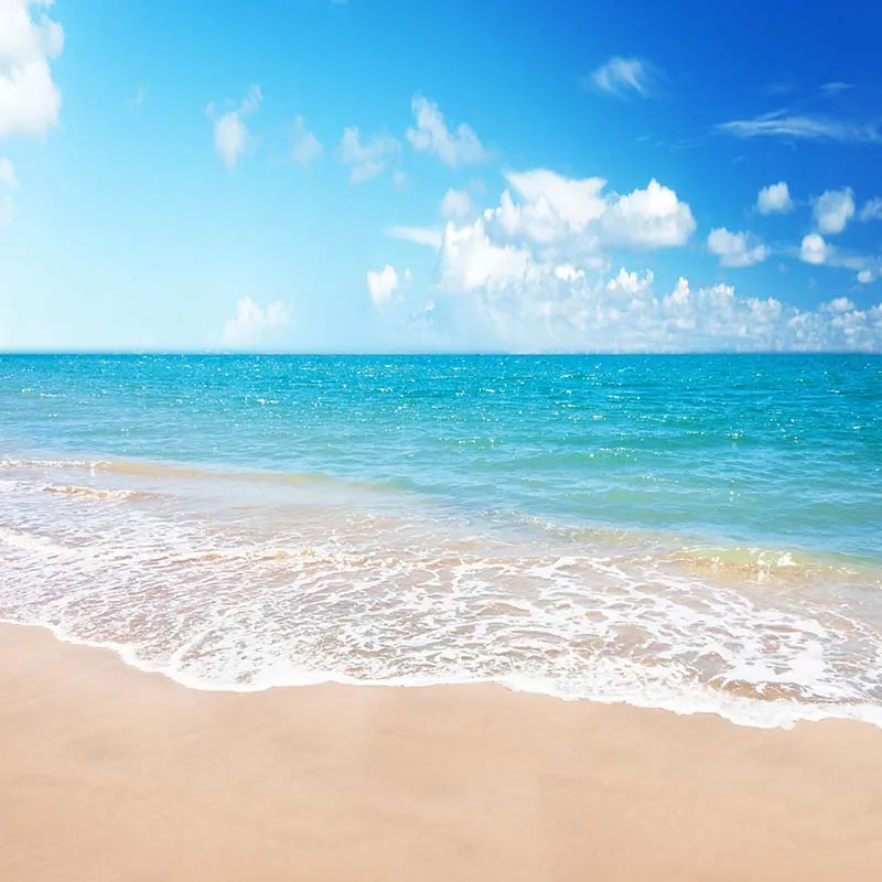 

MEHOFOTO Vinyl Photography Background Ocean Beach Scenic Computer Printed Children Backdrops for Photo Studio CM-6696