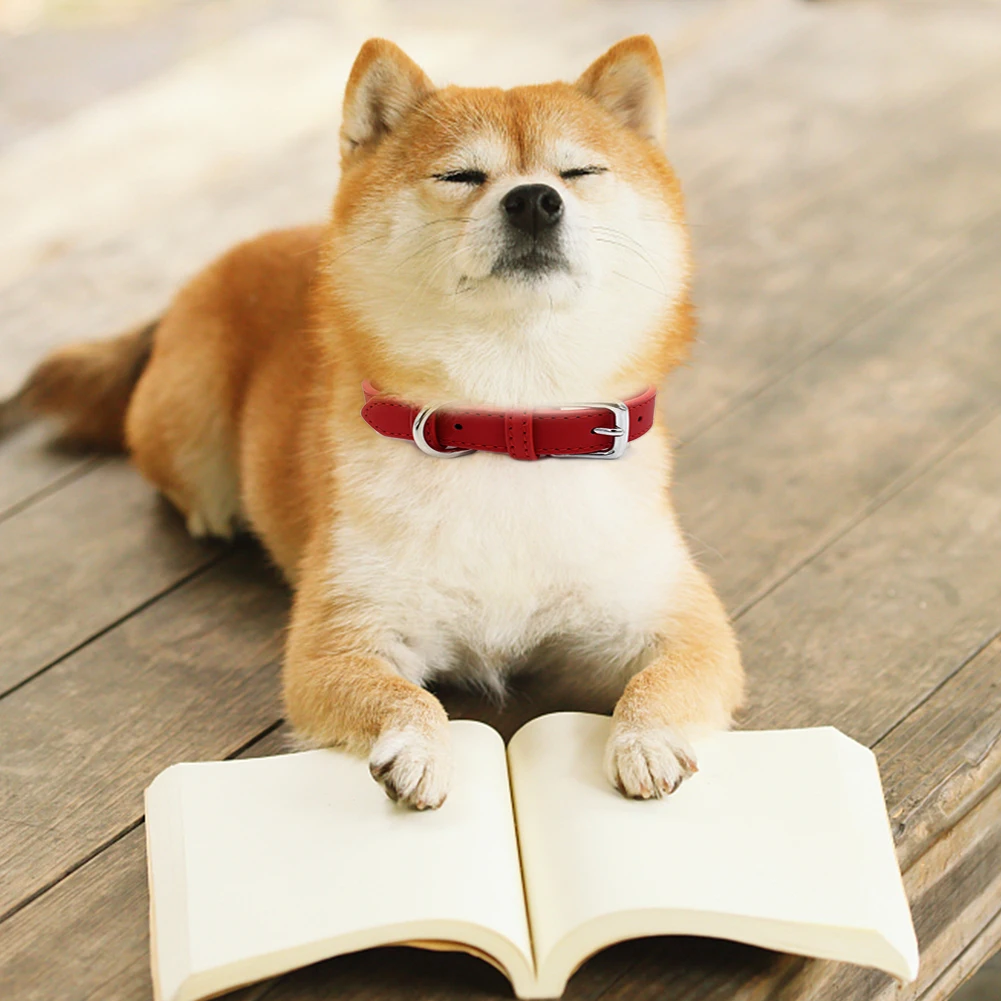 

Dog Collars Cat Puppy Collar Neck Strap PU Leather Dogs Adjustable Buckle Puppy Necklace For Small Dogs Pet Dropship