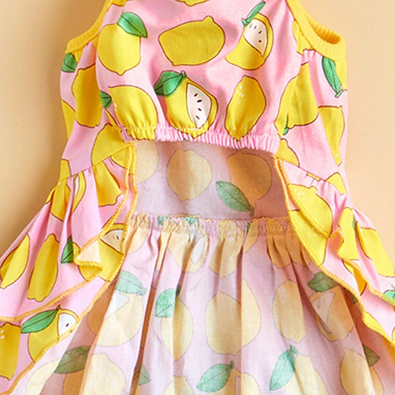 

2021 new Dog clothes pet for small dogs Clothing cats summer dress skirt Puppy pets fancy Wedding Sling skirts fresh fruit print