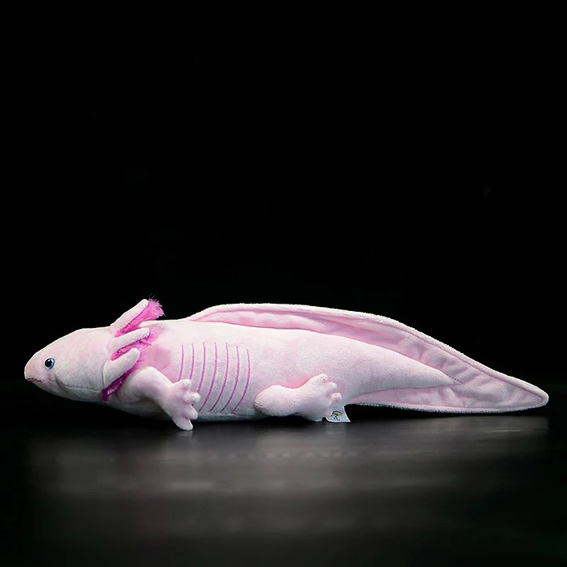 Axolotl-juguete de peluche suave de 50cm para ni&ntilde;os, dinosaurio rosa de simulaci&oacute;n realista, modelo de Animal para ni&ntilde;os, regalo para adultos-2