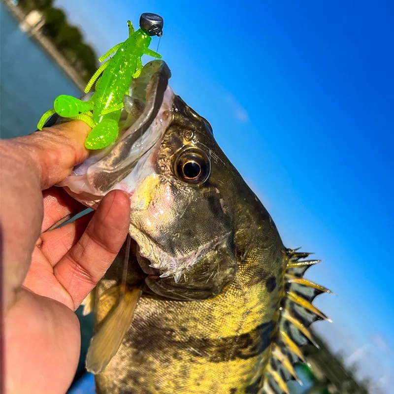 Новинка 7 шт. Lurefans Классическая конкурентоспособная рыболовная искусственная