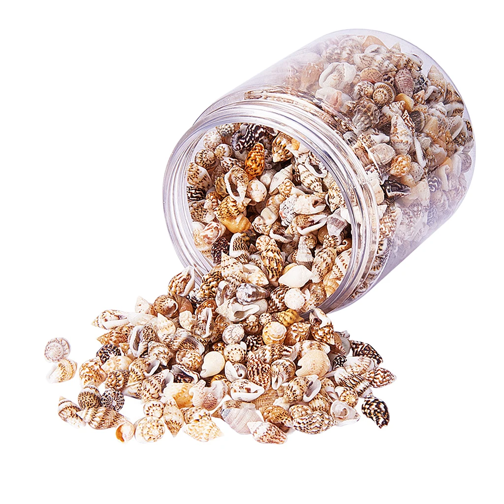 

1 коробка, разные натуральные ракушки, пляжные украшения